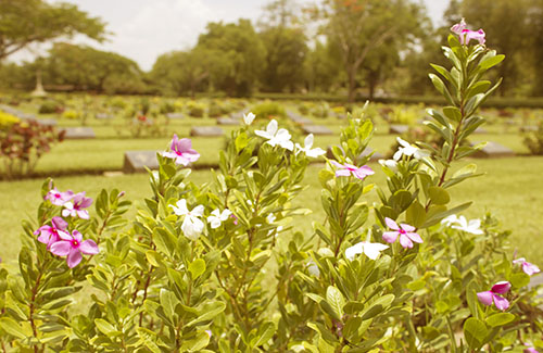 Burials in eastleigh