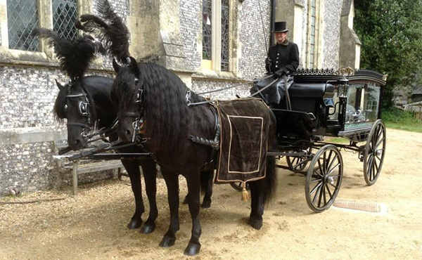 Horse Drawn Hearse